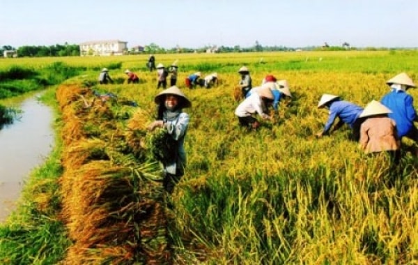 Thách thức đối với Đồng bằng sông Cửu Long trong giảm nghèo theo cách tiếp cận giảm nghèo đa chiều
