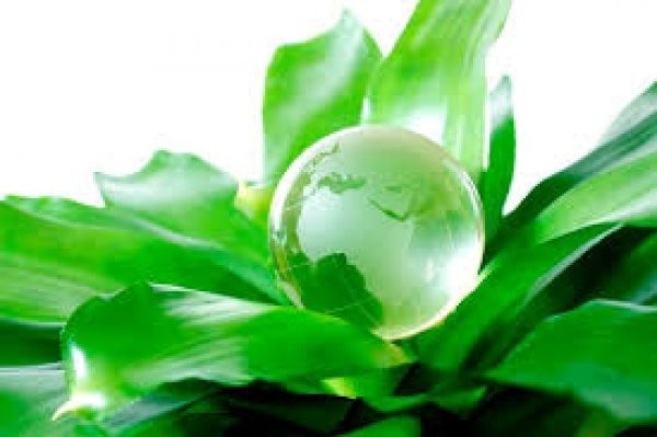 Về kinh tế xanh ở Việt Nam