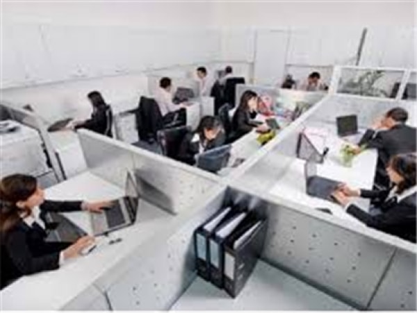 Áp dụng mô hình quản lý nguồn nhân lực công theo vị trí việc làm ở Việt Nam hiện nay