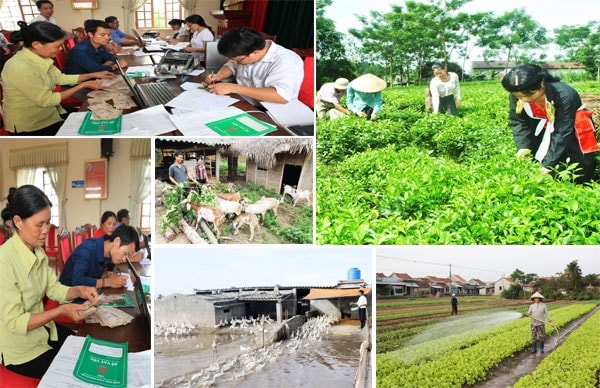 Quyền có mức sống đủ và việc bảo đảm ở Việt Nam