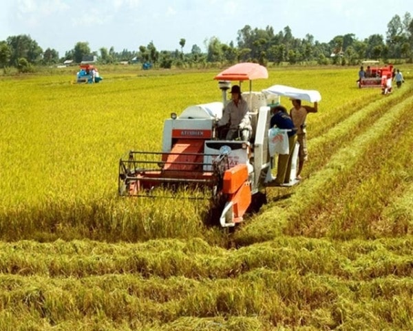  Phát huy vai trò của giai cấp nông dân trong thời kỳ đẩy mạnh công nghiệp hóa, hiện đại hóa đất nước
