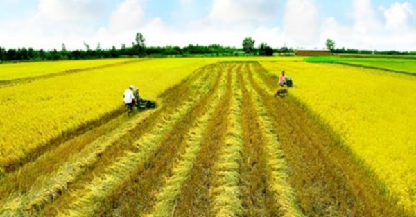 Tiếp cận hệ thống trong quản lý xã hội nông thôn Việt Nam hiện nay