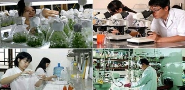 Vấn đề phát huy nguồn lực và sức sáng tạo của nhân dân trong sự nghiệp đổi mới ở nước ta hiện nay