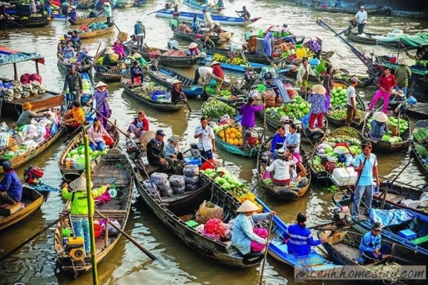 Thực trạng và giải pháp phát triển du lịch thành phố Cần Thơ