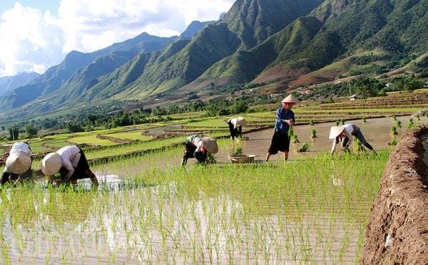 Xu hướng di dân các dân tộc thiểu số từ giác độ lực hút, lực đẩy