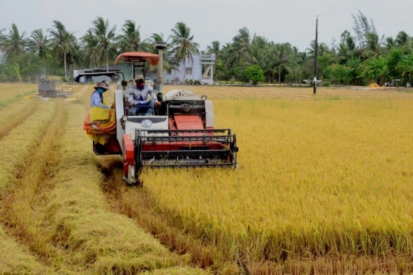 The negative effects of small-scaled farmer mindset on process of new rural areas construction in Vietnam today