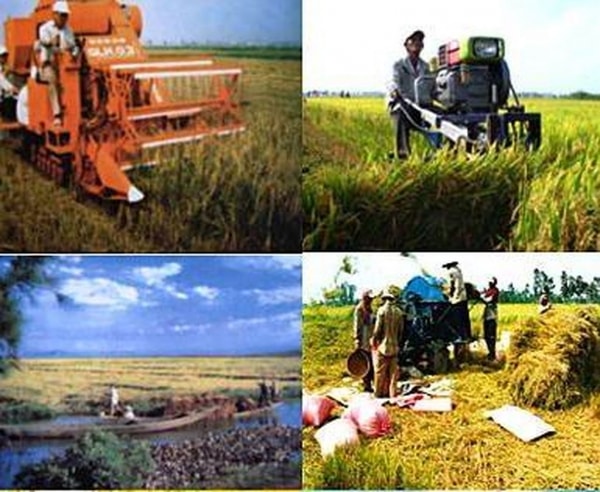  Biến đổi cơ cấu xã hội - nghề nghiệp ở Đồng bằng sông Cửu Long