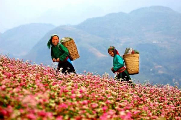 Liên kết vùng trong phát triển du lịch các tỉnh Tây Bắc Việt Nam