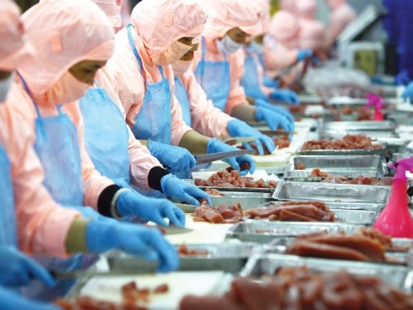 Công nghiệp chế biến thủy sản - Tiềm năng phát triển và những vấn đề đặt ra đối với Thành phố Cần Thơ