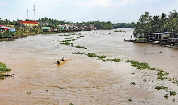 Thực thi chính sách tài chính ứng phó với biến đổi khí hậu tại Thành phố Cần Thơ