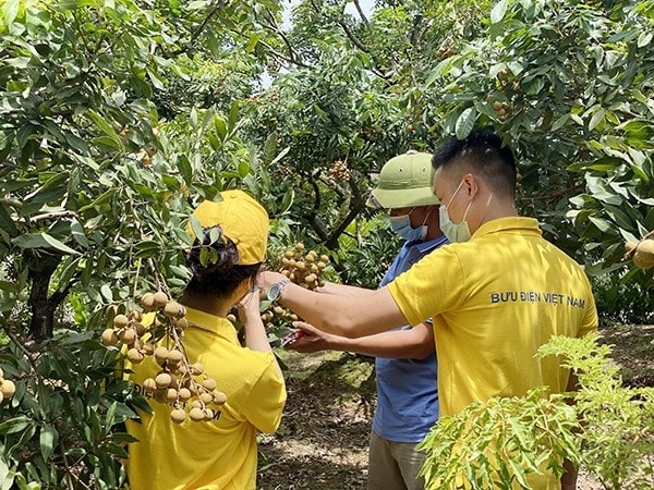 Ứng dụng mô hình kinh tế chia sẻ vào hợp tác xã để kiến tạo cuộc sống thịnh vượng, hạnh phúc