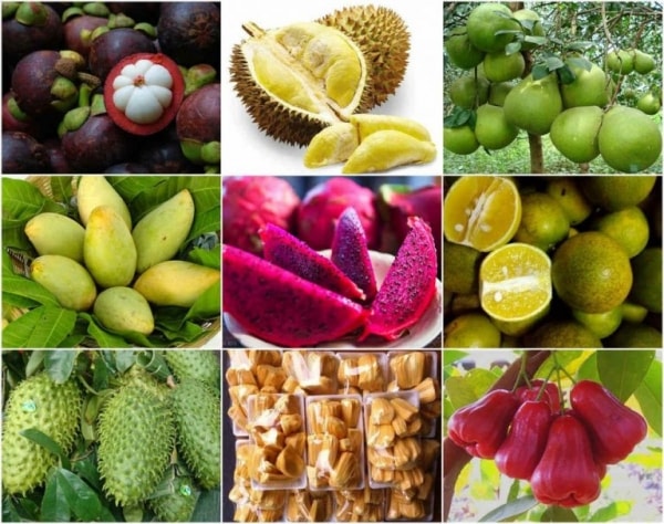 Xây dựng thương hiệu cho nông sản Việt Nam