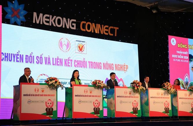 Mekong Delta promotes digital transformation in agriculture ảnh 1