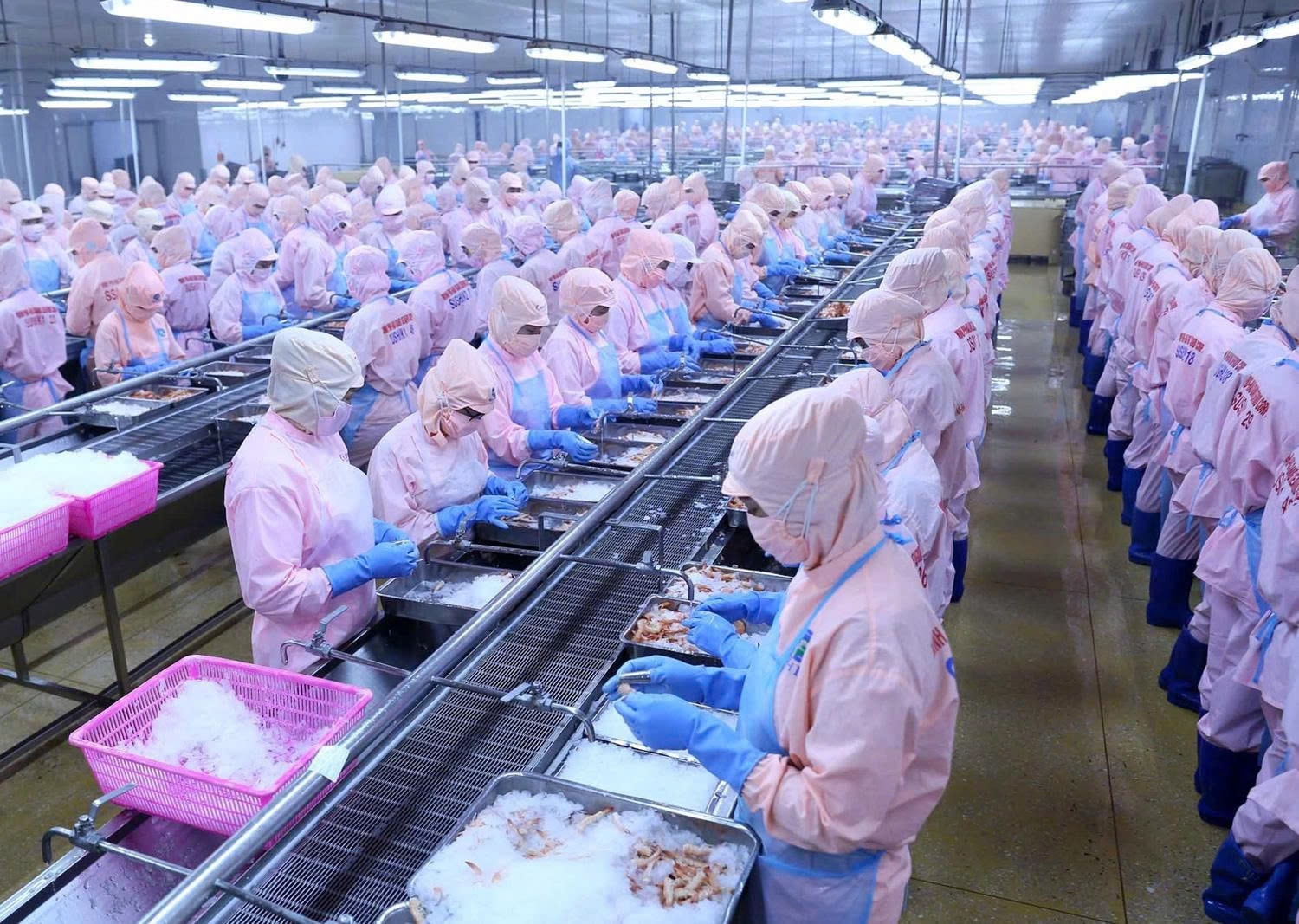 Private economic development - A lever for a prosperous Vietnam