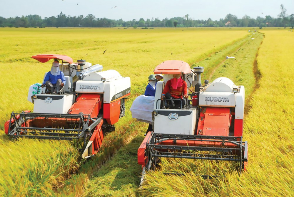 Phát triển lực lượng sản xuất trong nông nghiệp ở đồng bằng sông Cửu Long hiện nay