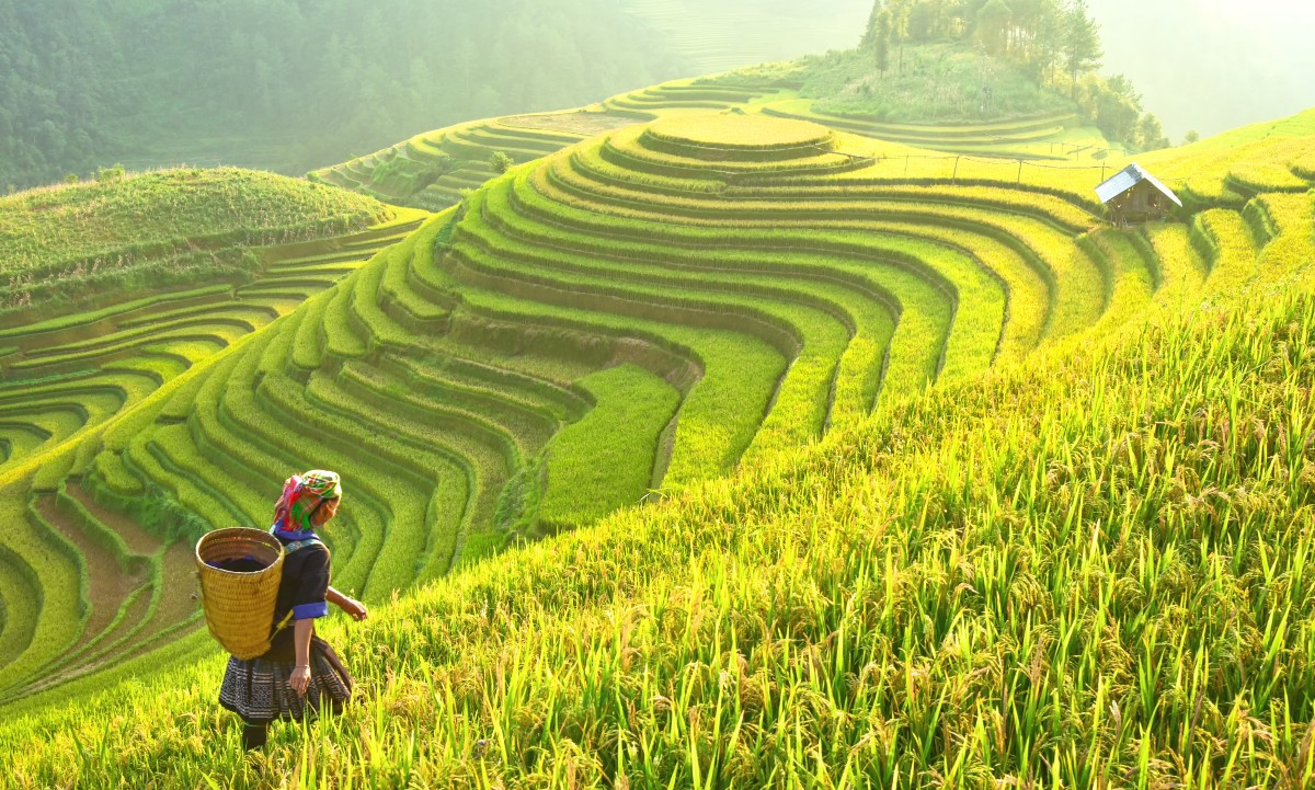 Truyền thông du lịch trên báo điện tử, góp phần quảng bá hình ảnh du lịch Việt Nam theo hướng chuyên nghiệp